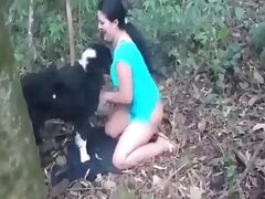 Animals bestiality porn